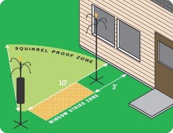 Bird Feeder Placement Guide: Finding the Perfect Height for Your Feeder