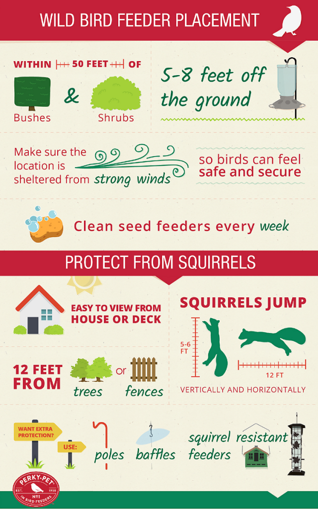 Bird Feeder Placement Guide: Finding the Perfect Height for Your Feeder