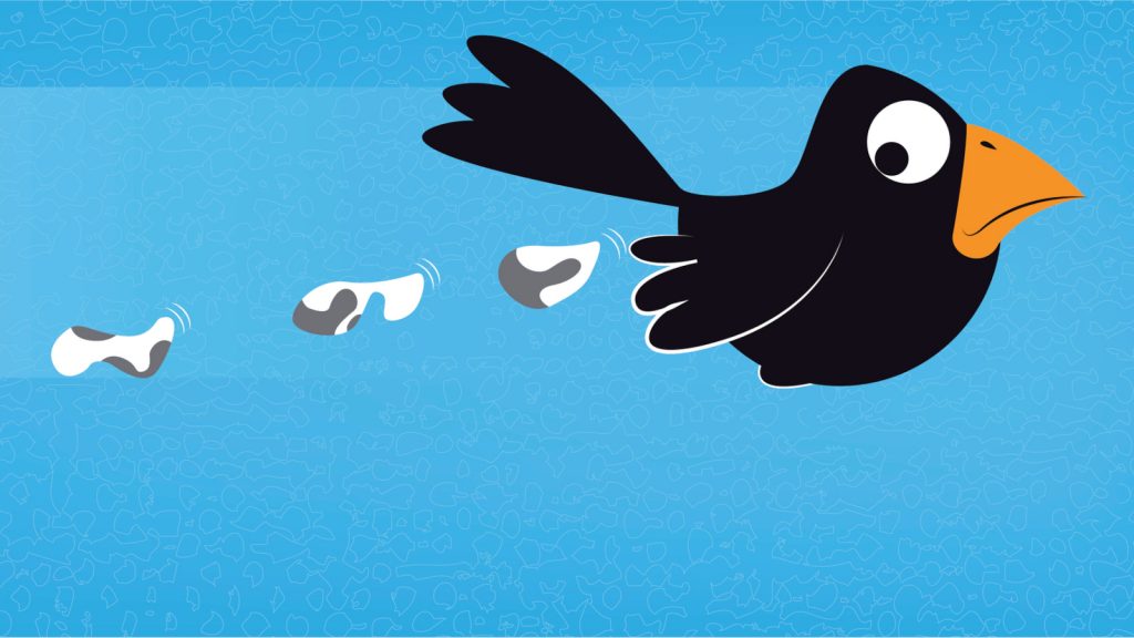 Bird Poop A Symbol of Good Luck in Many Cultures Sigloxxi