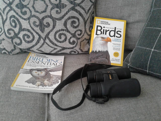Bird Watching Kit for Adults: Essential Equipment and Guides