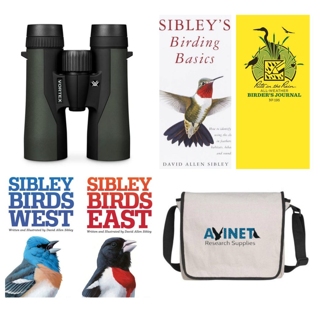 Bird Watching Kit for Adults: Essential Equipment and Guides