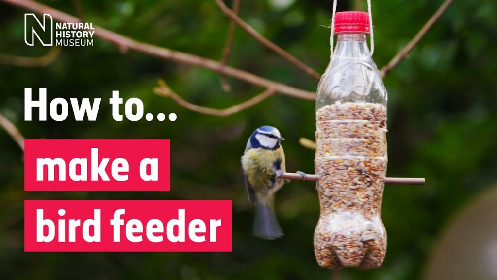 Setting up a Bird Feeder in Six Easy Steps