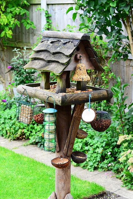 Setting up a Bird Feeder in Six Easy Steps