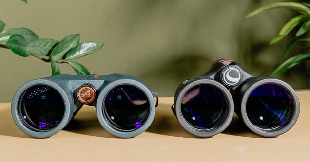 The Best Binoculars Under $100 for Backyard Bird Watching