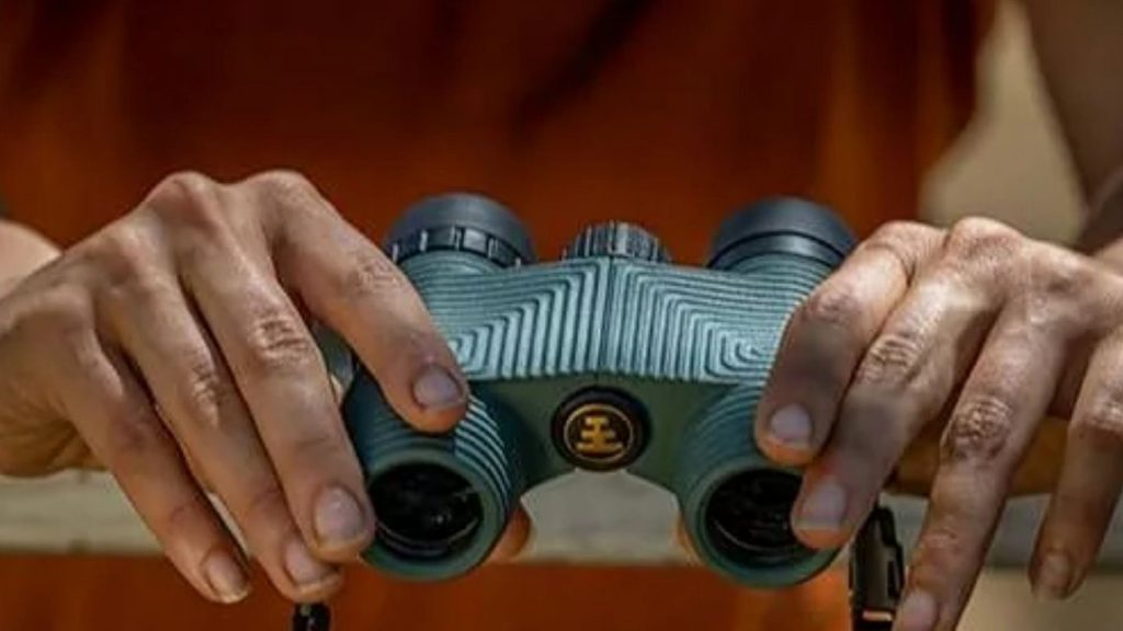 The Best Binoculars Under $100 for Backyard Bird Watching
