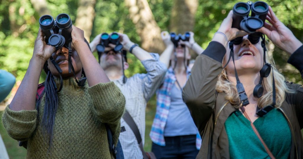 The Best Birding Binoculars Under $500