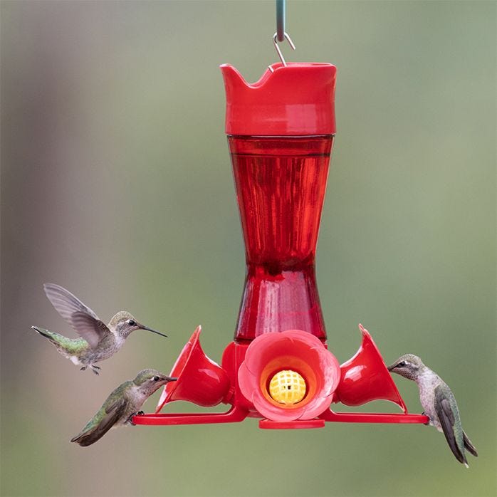 Why are hummingbird feeders red?